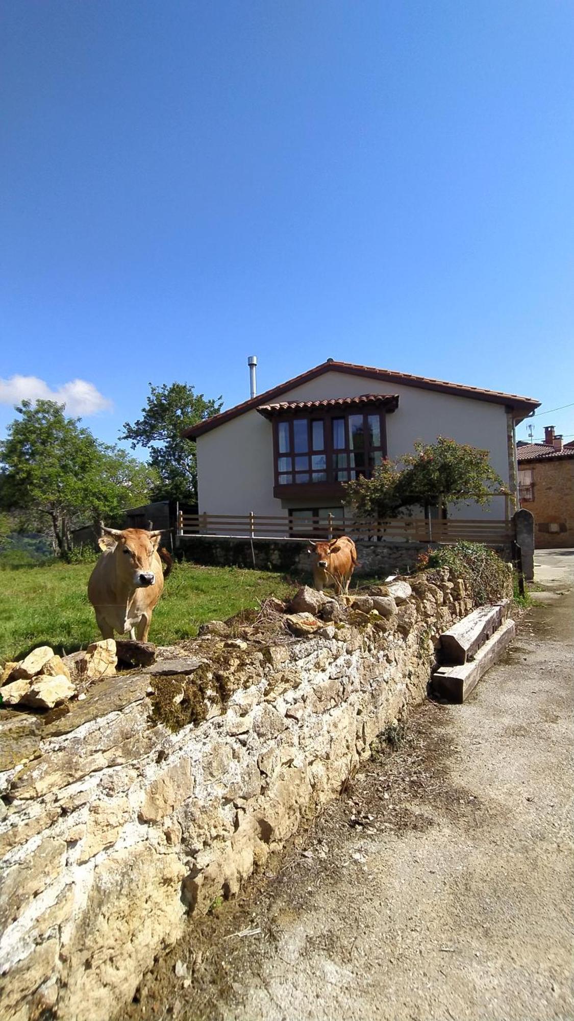 Villa El Rosal à Beloncio Extérieur photo